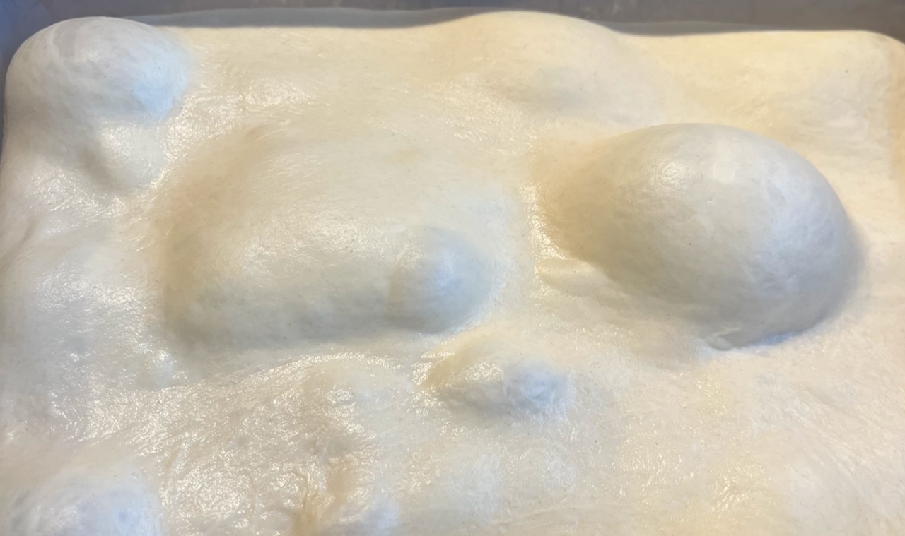 Photo of air bubbles in rising dough.